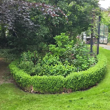 B&B Oasen - Hyggelig