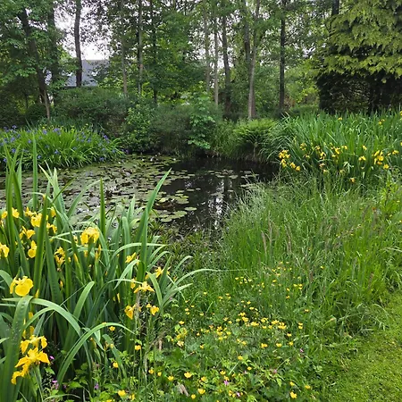 Oasen - Hyggelig B&B