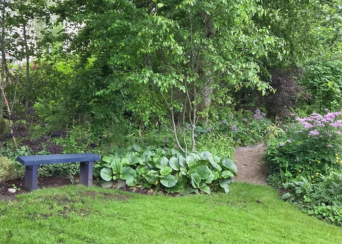 Oasen - Hyggelig Bed & Breakfast