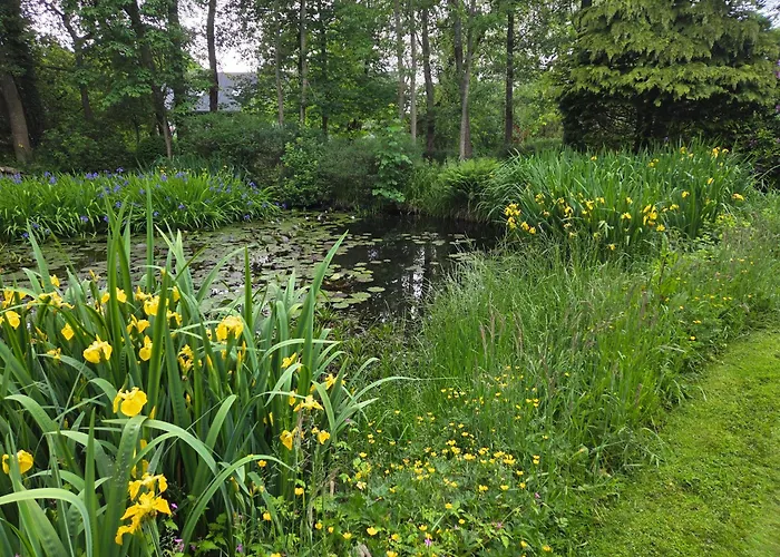 Oasen - Hyggelig Bed & Breakfast